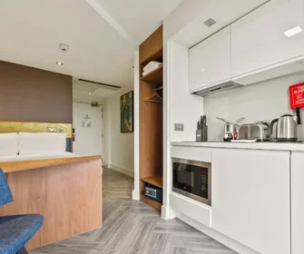 Monolocale in residence in 66 W Ham Ln, London E15 4PT, United Kingdom, immagine 2 di 21