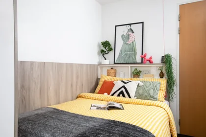 Quarto privado em residência em Pellett St, Cardiff CF10 4FD, United Kingdom, imagem 5 de 21
