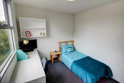Entire apartment in residence at 903 Dandenong Road, Malvern East, VIC 3145, Australia, image 12 of 14