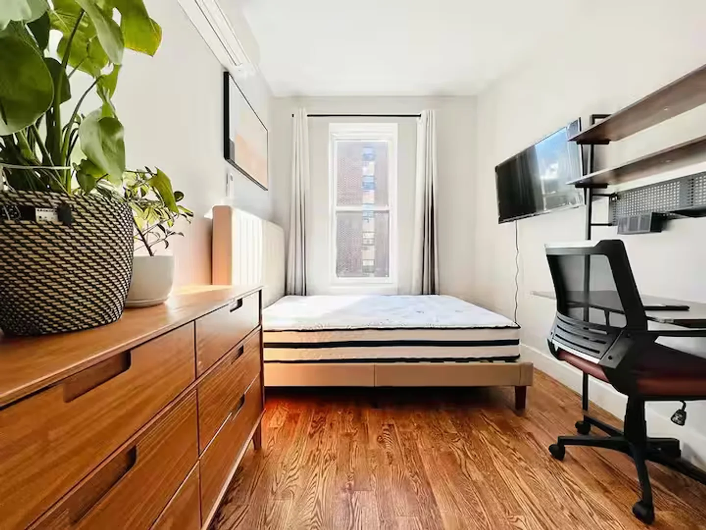 325 Putnam Ave, 2L, Brooklyn NY, 11216, 2L, Bedford-Stuyvesant, New York, NY, 11216 