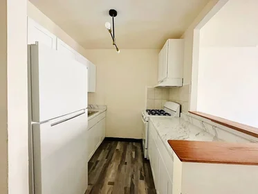 整套公寓 在住宅内 在 810 Rogers Avenue, 3FL, Prospect Lefferts Gardens, Brooklyn, NY, 11226, 13的图像7