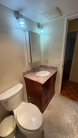 Logement entier en résidence à 1580, Massachusetts Ave., Unit 3E, Harvard Square, Cambridge, MA, 02138, image 13 de 24