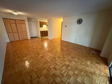 Logement entier en résidence à 1580, Massachusetts Ave., Unit 3E, Harvard Square, Cambridge, MA, 02138, image 15 de 24