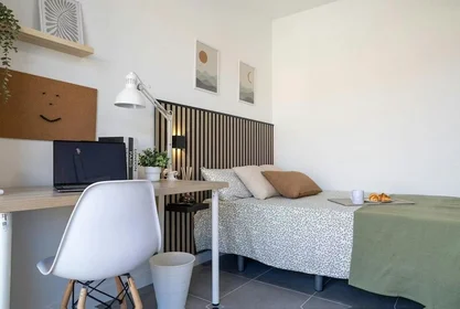 Chambre à louer avec lit double {area}