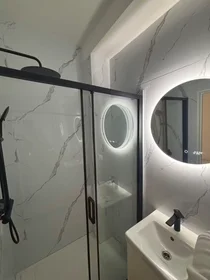 Appartamento intero in Leopoldstraat, Sint-Andries-Bourla, immagine 3 di 10