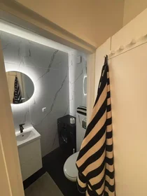 Appartamento intero in Leopoldstraat, Sint-Andries-Bourla, immagine 4 di 10