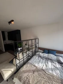 Appartamento intero in Leopoldstraat, Sint-Andries-Bourla, immagine 6 di 10