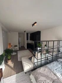 Appartamento intero in Leopoldstraat, Sint-Andries-Bourla, immagine 8 di 10