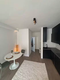 Appartamento intero in Leopoldstraat, Sint-Andries-Bourla, immagine 9 di 10