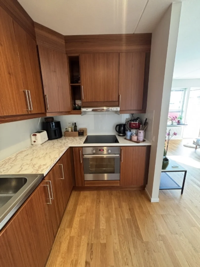 Budget-friendly student room close to campus in 