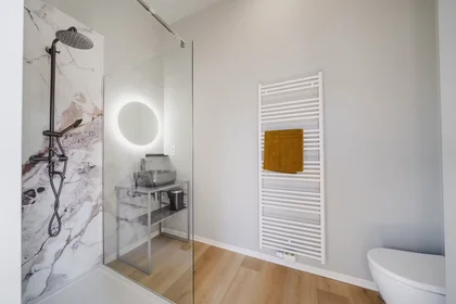 Privatzimmer in der Rue Joseph Saintraint, Namur, bild 3 von 8