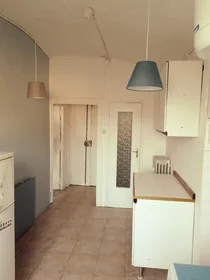 Entire apartment at Via Nizza, San Salvario, image 1 of 10