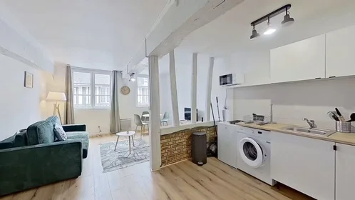 Entire apartment at Rue Saint-Hilaire, St.-Marc/Crx. de Pierre/St.-Nicaise, image 1 of 10