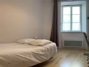 Stanza privata in Limoges, 87000, immagine 5 di 17