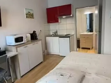 Stanza privata in Limoges, 87000, immagine 9 di 17