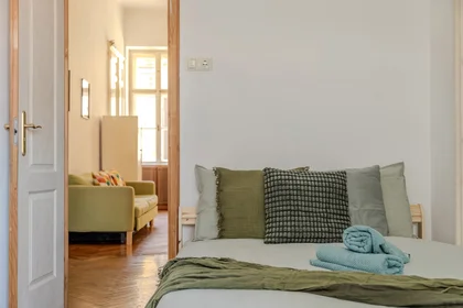 Habitación privada en Rózsa utca 46, imagen 8 de 29