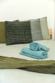 Habitación privada en Rózsa utca 46, imagen 9 de 29