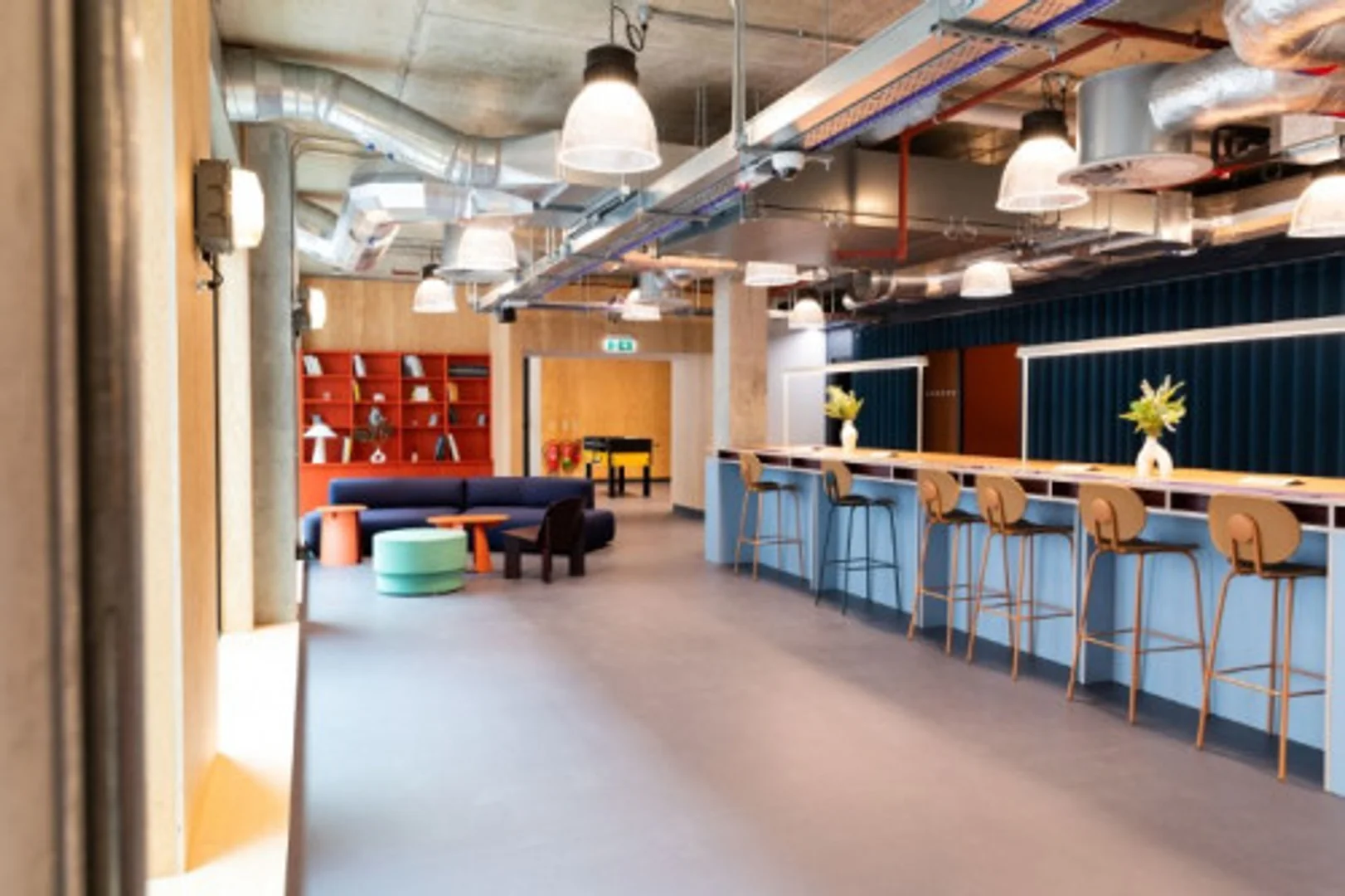 'da üniversiteye kolay erişime sahip aydınlık ve havadar öğrenci odası