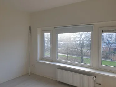 Stüdyo daire konumu Petrus Campersingel, 1 8 görüntüsü