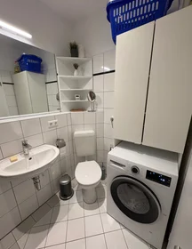 Apartamento inteiro em Friedrichsberger Straße, imagem 14 de 21