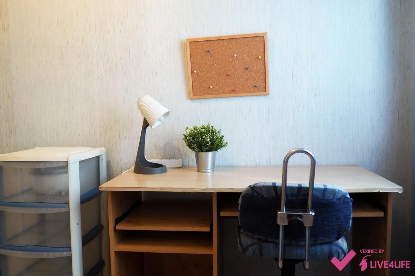 Pokój studencki w z miejscem do nauki i wspólnymi udogodnieniami