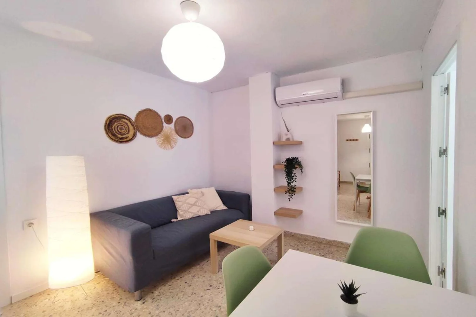 Affordable room for students with ample lighting in 