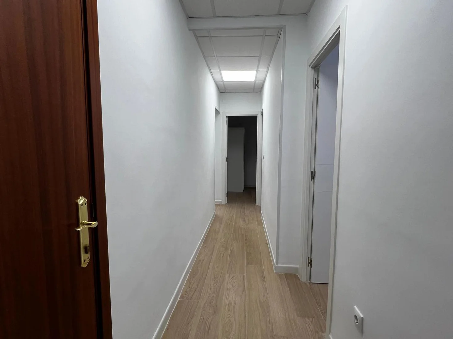 'da ders çalışmak için mükemmel olan fonksiyonel öğrenci odası