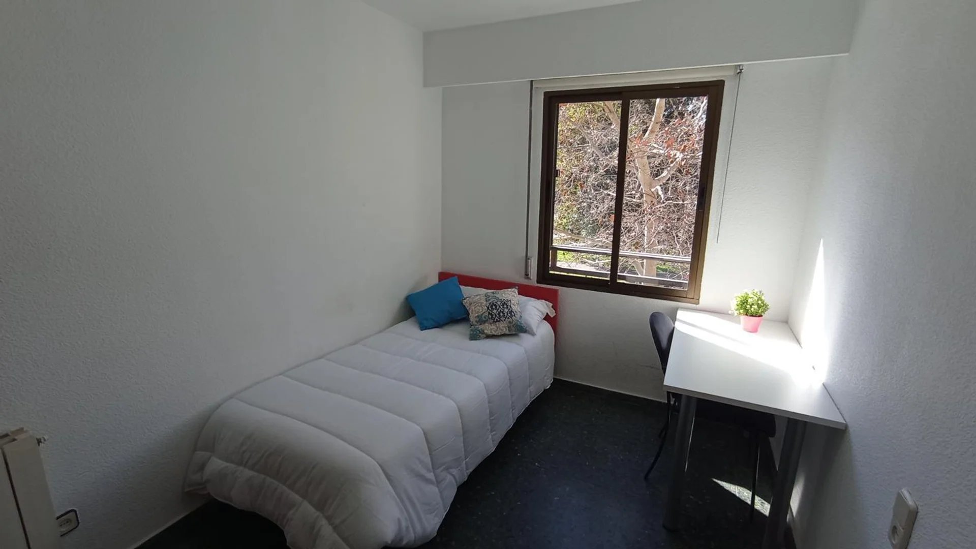 Niedrogi pokój dla studentów z dużym oświetleniem w 