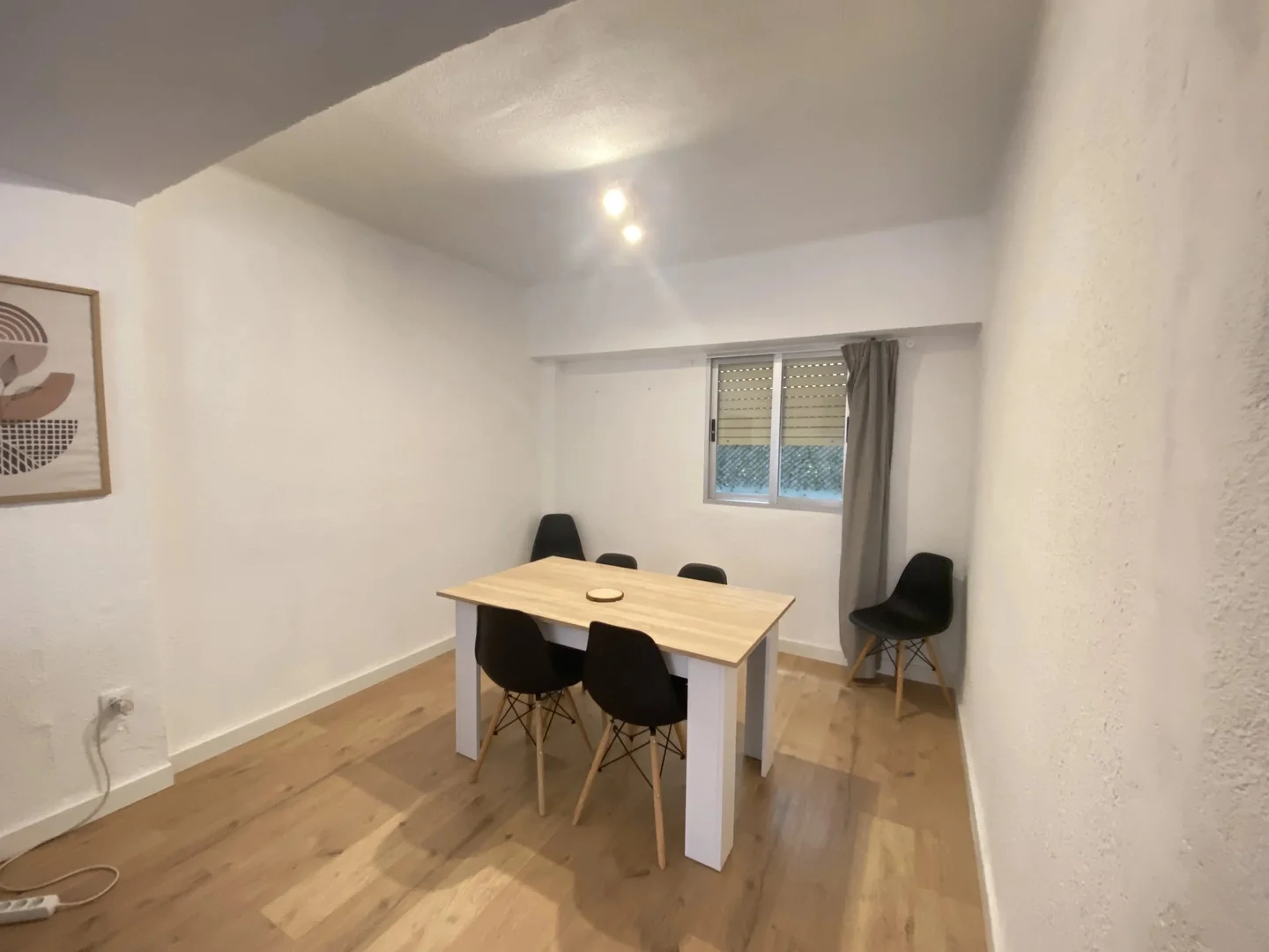 Affordable room for students with ample lighting in 
