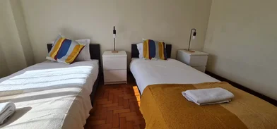 Całe miejsce Rua de Santa Catarina, Santo Ildefonso, obraz 4 10