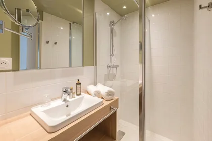 Entire apartment at Rue Benoît Malon, , image 8 of 10