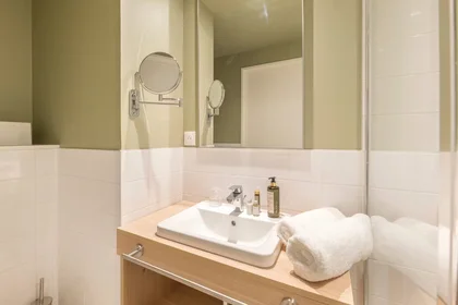 Entire apartment at Rue Benoît Malon, , image 9 of 10