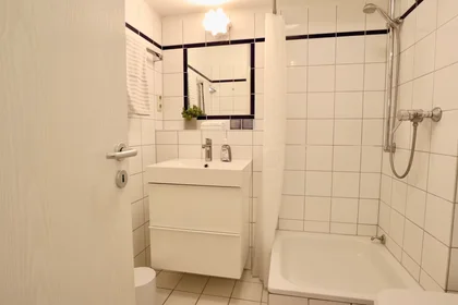 Entire apartment at Rosmarinstraße, Stadtbezirk 2, image 8 of 8