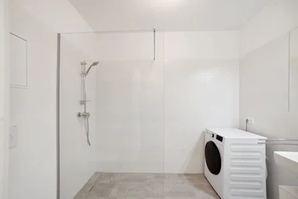 Entire apartment at Waagner-Biro-Straße, Lend, image 6 of 10
