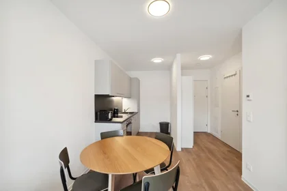 Entire apartment at Waagner-Biro-Straße, Lend, image 9 of 10