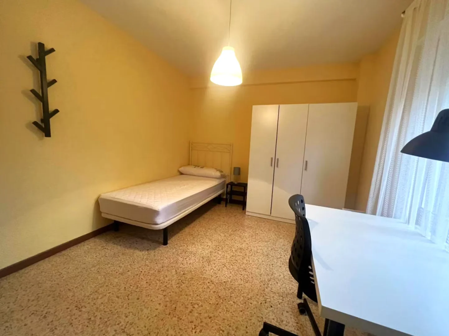 Affordable room for students with ample lighting in 