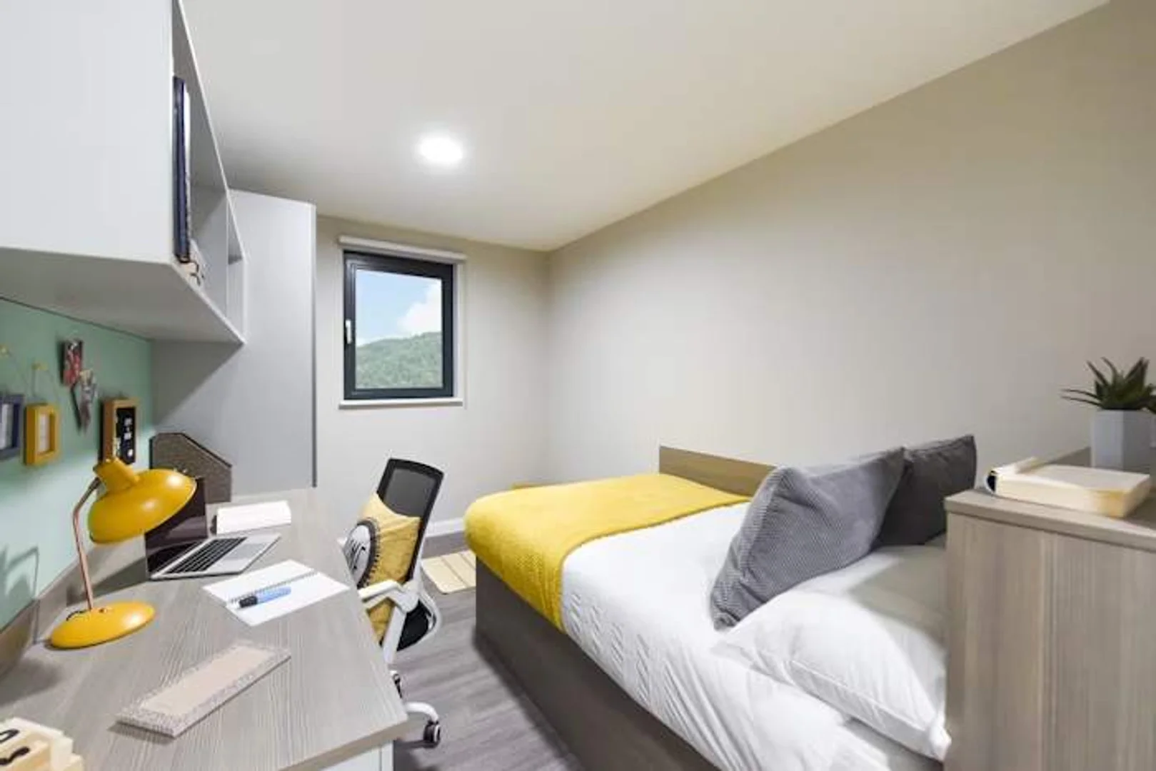 Preisgünstiges Studentenzimmer in günstiger Lage in 