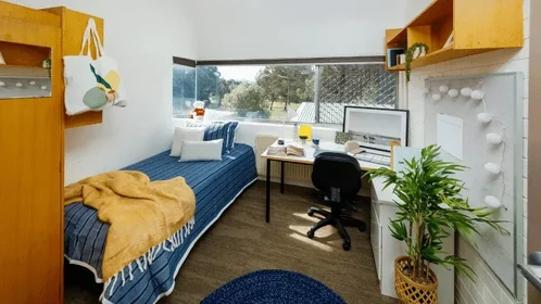 Logement entier en résidence à 19 Cooinda Street, Bruce ACT 2617 Australia, image 4 de 32