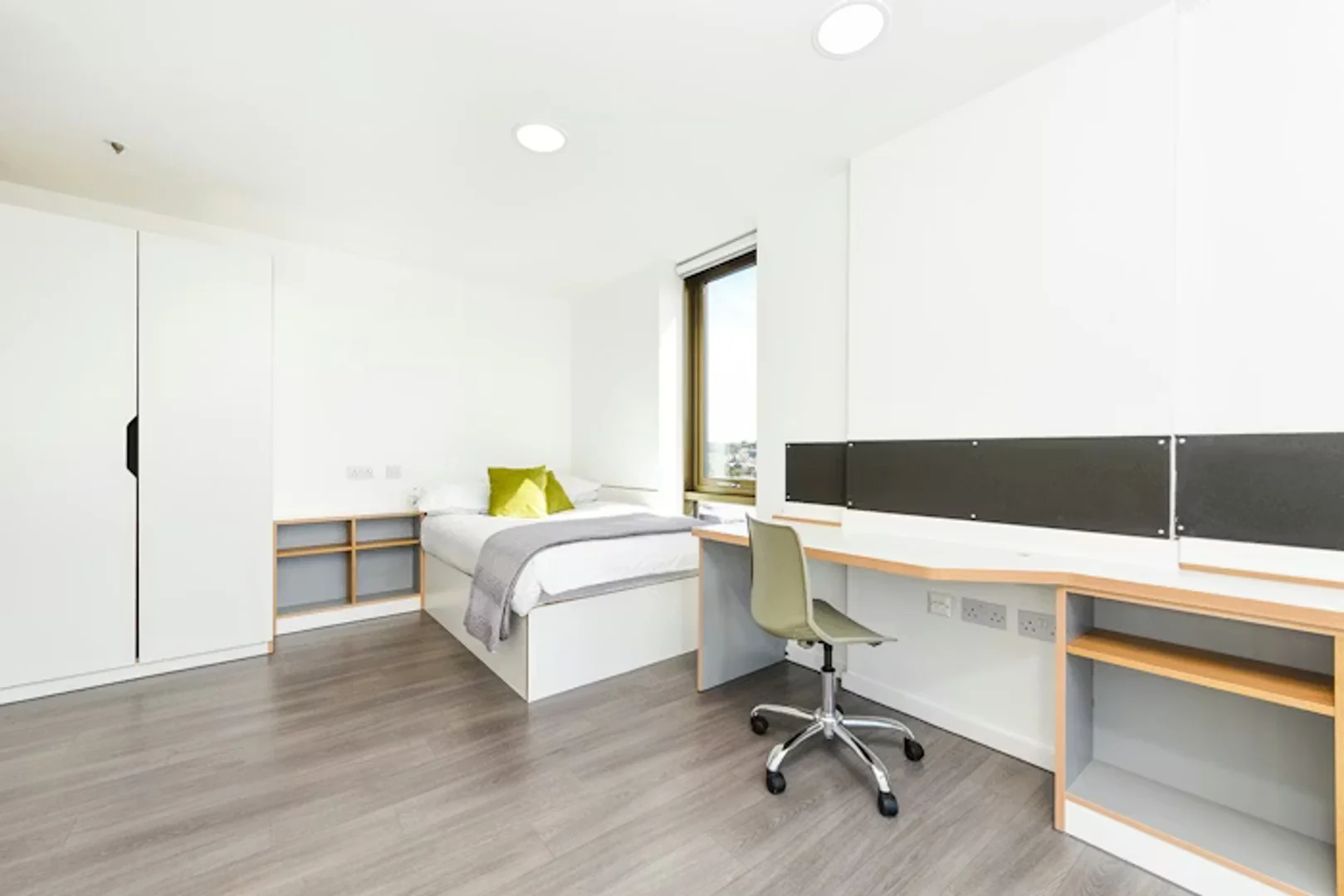 Affordable room for students with ample lighting in 