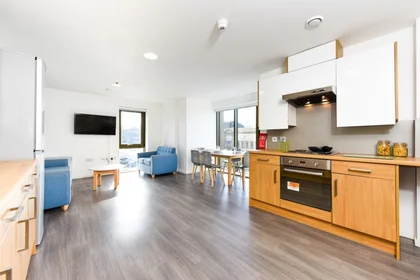Private room in residence at 72 Great Crosshall St, Liverpool L3 2AT, United Kingdom            , image 3 of 33