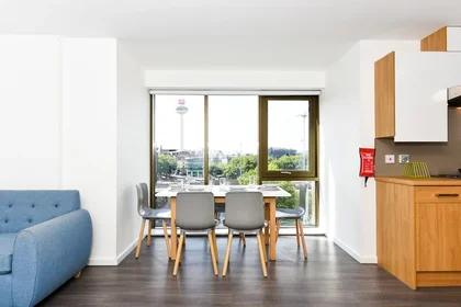 Private room in residence at 72 Great Crosshall St, Liverpool L3 2AT, United Kingdom            , image 23 of 33