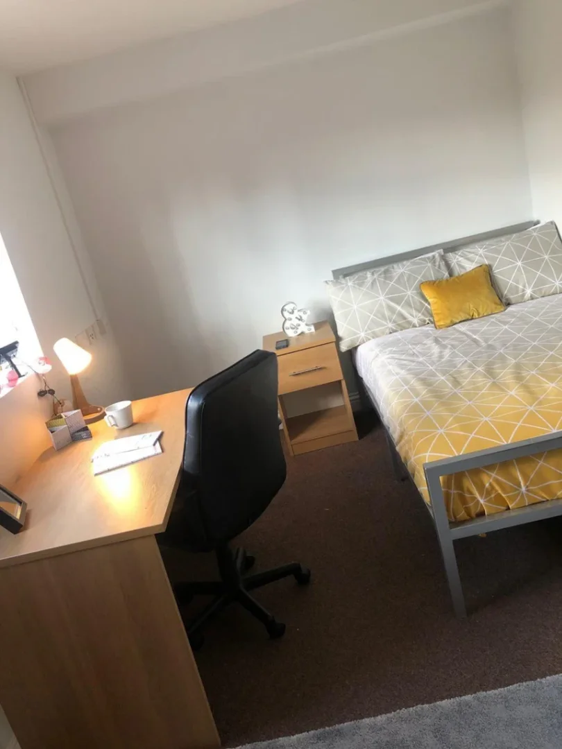Student-friendly room in with modern amenities