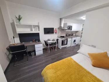 Studio im Wohnheim in der St James' House, St James Ter, Newcastle upon Tyne NE1 4NF, United Kingdom            , bild 1 von 35