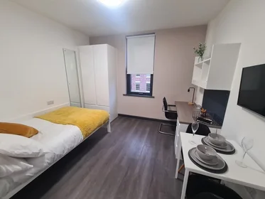 Studio im Wohnheim in der St James' House, St James Ter, Newcastle upon Tyne NE1 4NF, United Kingdom            , bild 2 von 35