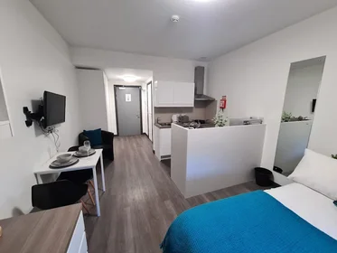 Studio im Wohnheim in der St James' House, St James Ter, Newcastle upon Tyne NE1 4NF, United Kingdom            , bild 20 von 35