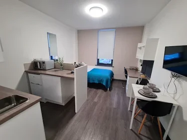 Studio im Wohnheim in der St James' House, St James Ter, Newcastle upon Tyne NE1 4NF, United Kingdom            , bild 24 von 35