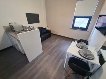 Studio im Wohnheim in der St James' House, St James Ter, Newcastle upon Tyne NE1 4NF, United Kingdom            , bild 30 von 35