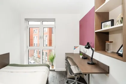 Private room at 36 Edward St, Sheffield S3 7HX, United Kingdom               , image 1 of 10