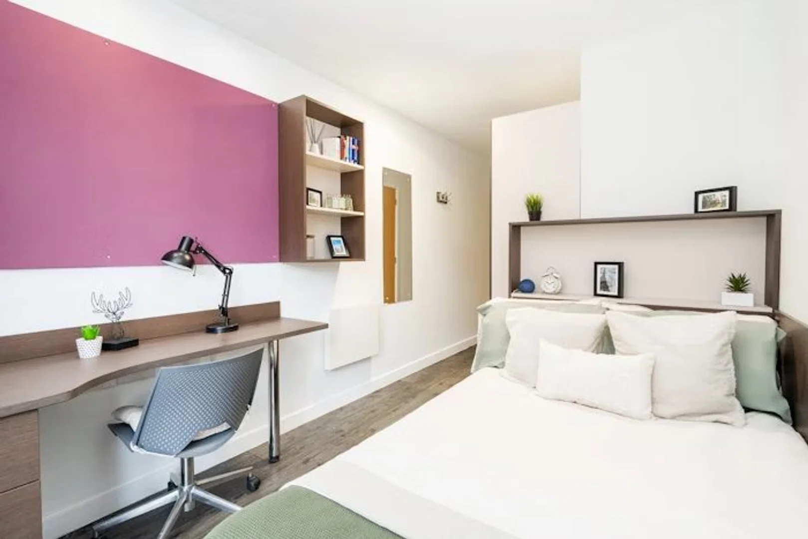 Budget-friendly student room close to campus in 