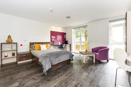 Całe miejsce w rezydencji 36 Edward St, Sheffield S3 7HX, United Kingdom               , obraz 19 25